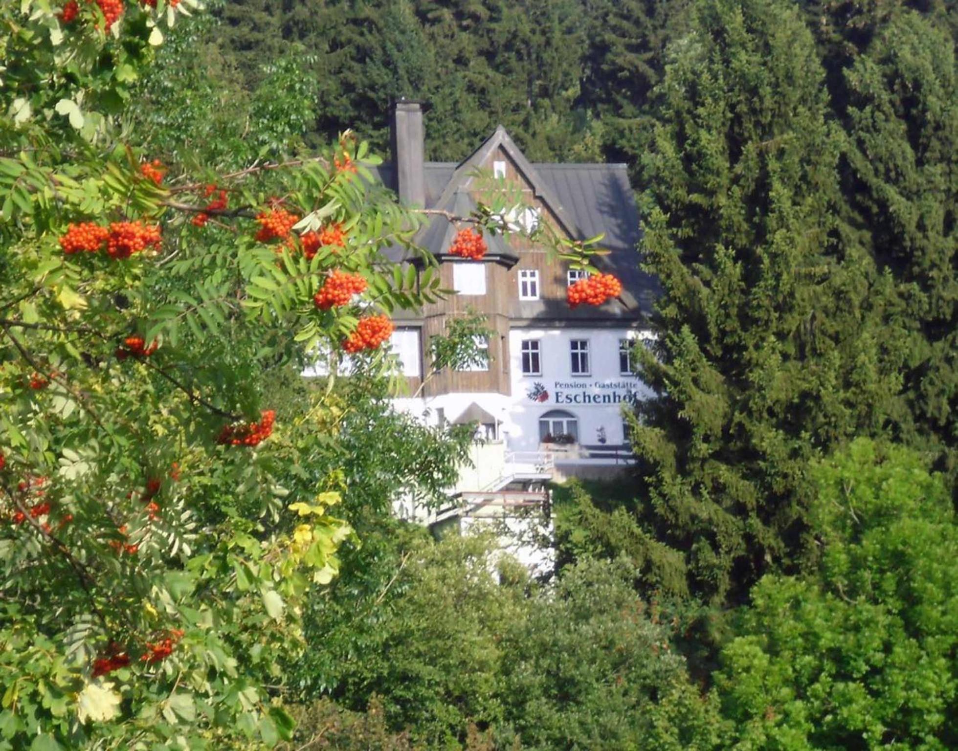 Pension Und Gaststaette Naturbaude Eschenhof Oberwiesenthal Bagian luar foto